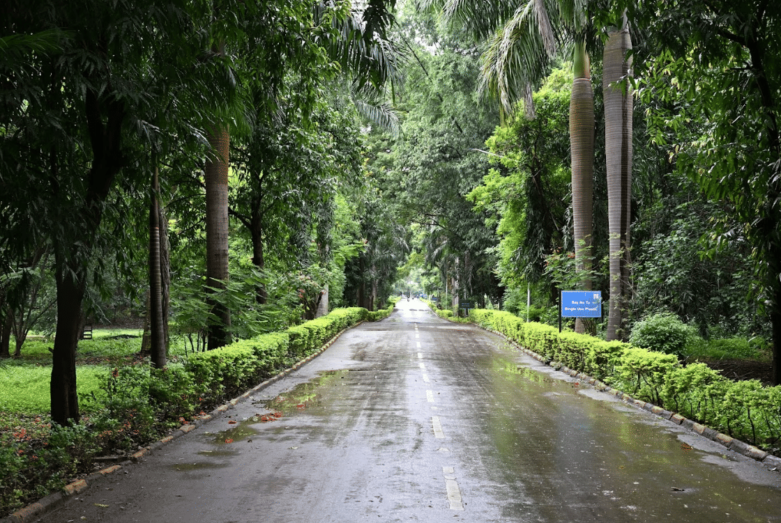 NIBM Pune Campus photo 18